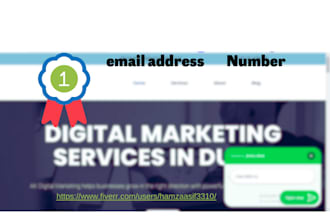 optimize shopify store rank wordpress website with monthly onpage  technical SEO