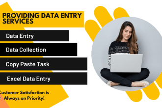 do excel data entry, scraping and data mining