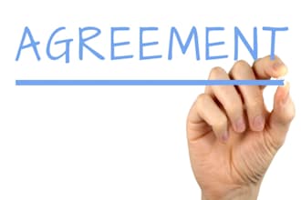 draft and vet your agreements related to IP and privacy policy