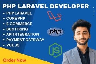 fix bugs or build web application in php, laravel, vue js