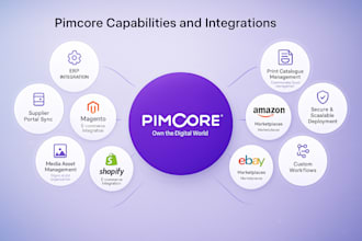 develop a comprehensive pimcore website
