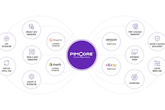 develop a comprehensive pimcore website