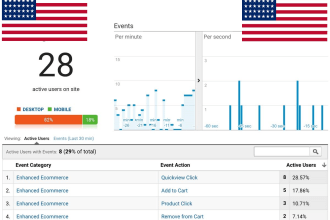 send 20k us visitors for 20 days