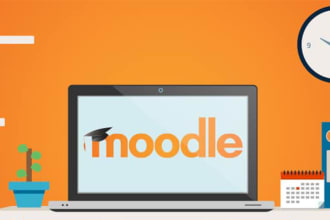give consultancy and technically support lms moodle