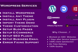 setup wordpress, install theme, import demo theme, customize