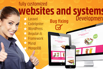 develop fully customized website and system