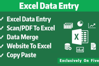 do any data entry, excel, word, google docs and much more