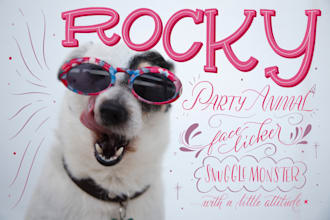 add editorial lettering to your picture
