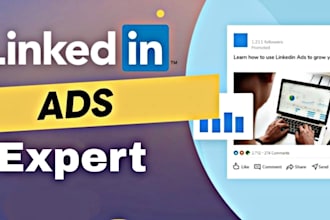 be your expert linkedin ads consultant