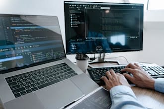 can conduct your market analysis, data analysis and web development tasks
