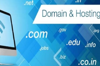 buy a domain with hosting, SSL, unlimited email, setup wordpress and cpanel