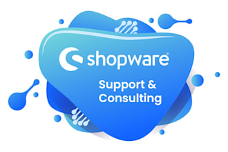 shopware consulting and support