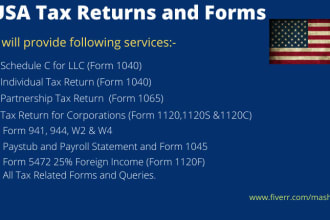 prepare and efile USA tax returns for you