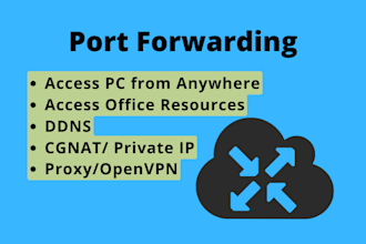 do port forwarding of any category