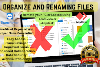 do organize files on your computer via team viewer