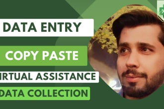 do data collection, data entry and web research, copy paste