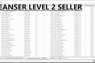 do fastest excel cleaning work of tax delinquent list and tax roll