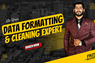be your excel data cleaning and data formatting expert