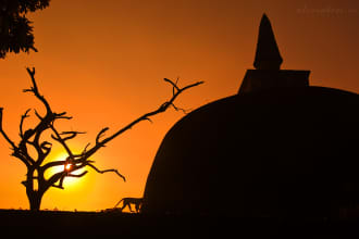plan a 3 to 5 day TRIP to Sri Lanka