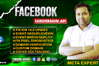 setup or fix your facebook conversion API via GTM, server side tracking