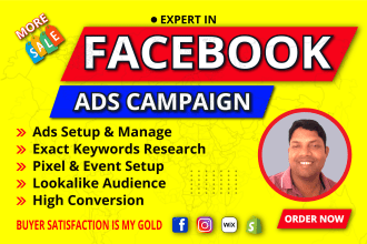 be your facebook ads campaign manager to run fb ads campaign