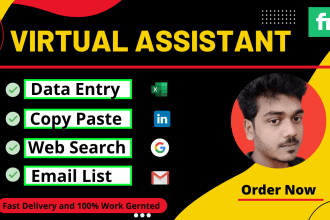do data entry, web search, copy paste and email list as your virtual assistant