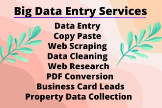 do big data entry, clean, merge, split and organize your big excel data files