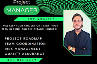 be your expert project manager planning and execution  pmo