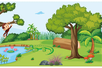 illustrate children book and cover story book for amazon KDP