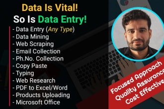 do quality data collection, email scraping and data entry