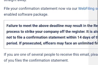 file confirmation statement in the UK