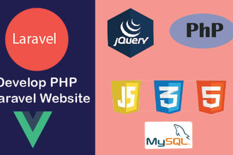 develop professional laravel website for your business