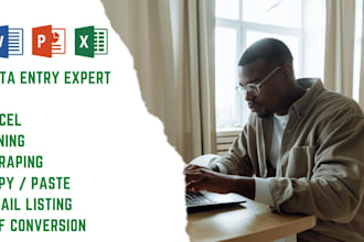 data entry typing work in excel, word document
