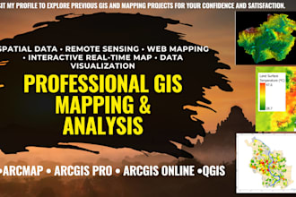 professional gis mapping, spatial data analysis