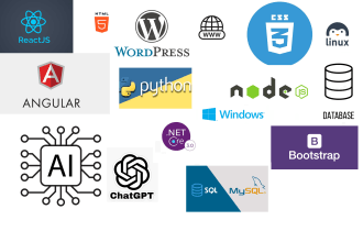 build professional website using mean, mern, salesforce