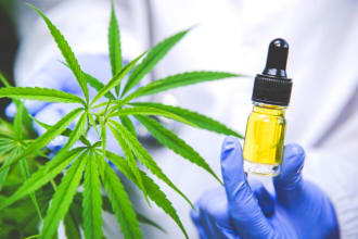 formulate cosmetic products with cbd oil