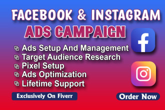 setup and manage facebook and instagram ads campaign