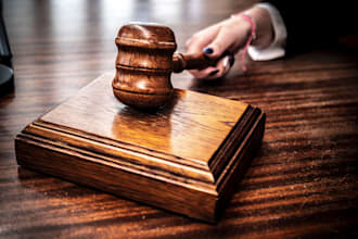 provide civil litigation legal support
