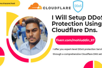setup ddos protection using cloudflare dns