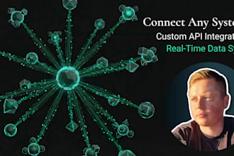 integrate business systems and build custom API connections