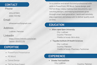 perform a professional cv design and resume design
