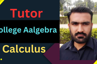 assist you in college algebra and calculus