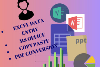 do data entry using excel,word,PPT,google doc and any other