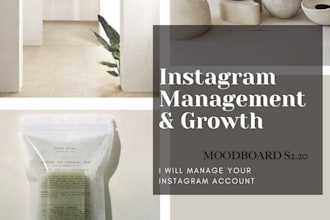 help you with social media management