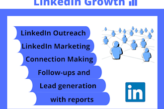 do strategic linkedin outreach campaign with a daily report
