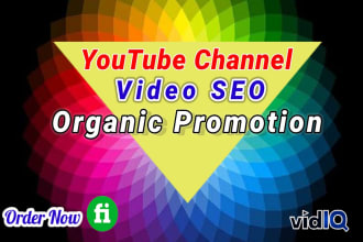 do youtube channel seo,video promotion for organic growth