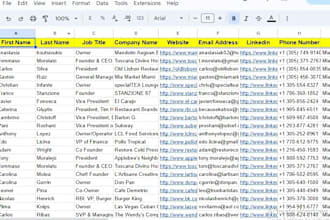 provide you decision maker list in any industry