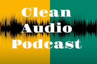 clean your audio and make it clear and sound pro