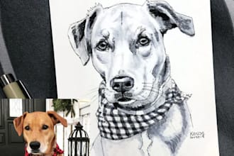 draw realistic pencil sketch pet portrait from photo, ainimal, cat, dog