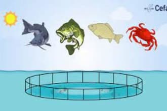 assist you in aquaculture and fisheries research articles and blogs